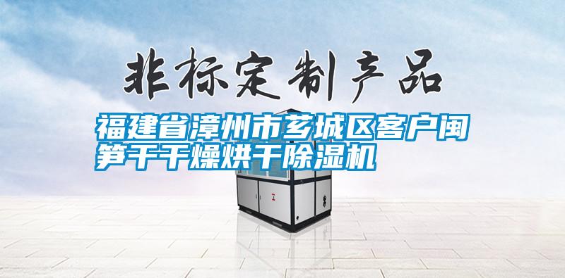 大除濕量的工業(yè)除濕機(jī)