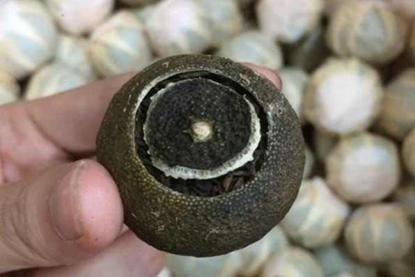 高效新風除濕機的制作方法