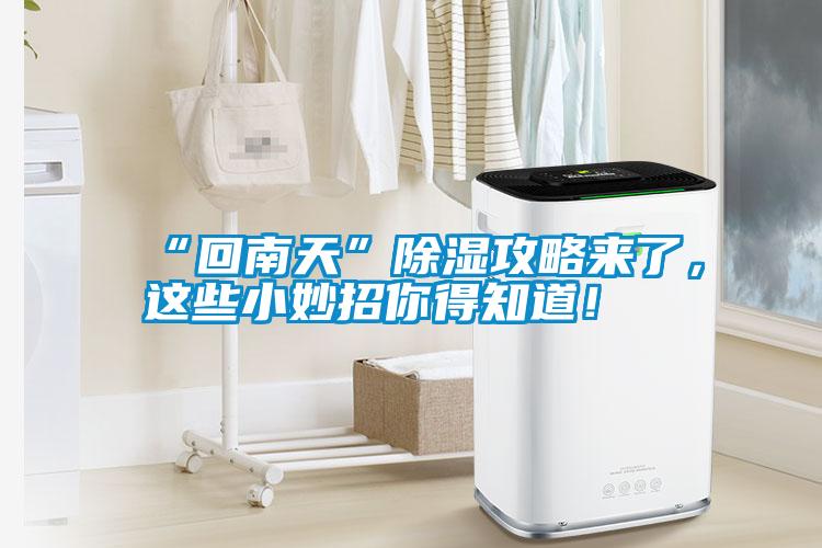 “回南天”除濕攻略來了，這些小妙招你得知道！
