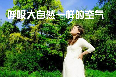 食用菌加濕機(jī)，食用菌工廠化種植加濕設(shè)備