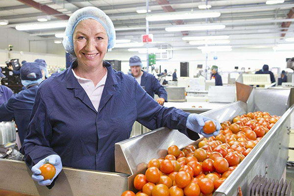 中山傳感器恒溫恒濕柜供應(yīng)(報(bào)名吧，2023已更新)