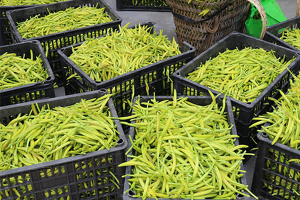 大同工業(yè)除濕機哪家好今日價格一覽表(2023更新)