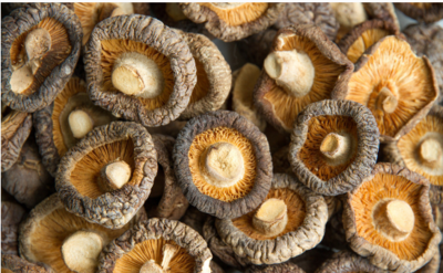 濕度環(huán)境對設(shè)備的影響及如何處理