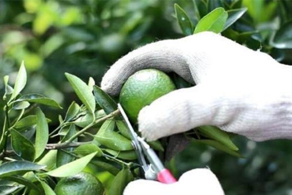 家用除濕機(jī)如何正確使用 家用除濕機(jī)的注意事項(xiàng)介紹【詳解】