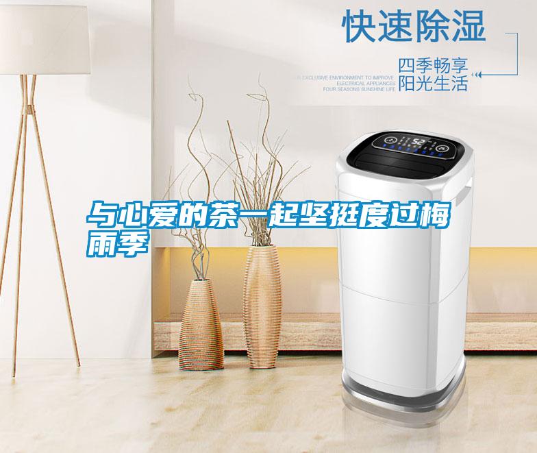 與心愛的茶一起堅挺度過梅雨季