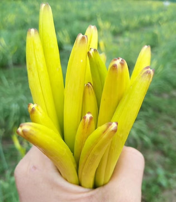 湖州單向流新風(fēng)系統(tǒng)安裝公司(【行情】2023已更新)