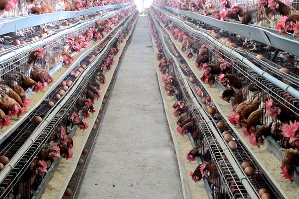 吸附式除濕機(jī)好嗎？