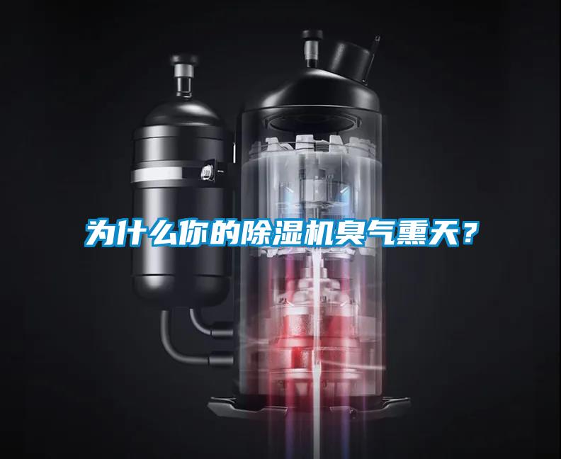 為什么你的除濕機臭氣熏天？
