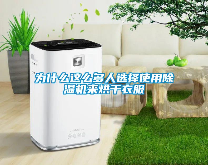 為什么這么多人選擇使用除濕機(jī)來烘干衣服
