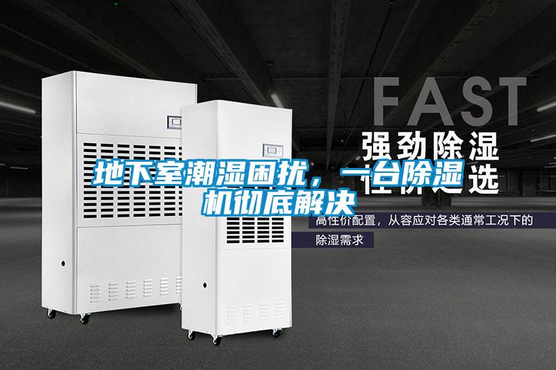 地下室潮濕困擾，一臺(tái)除濕機(jī)徹底解決