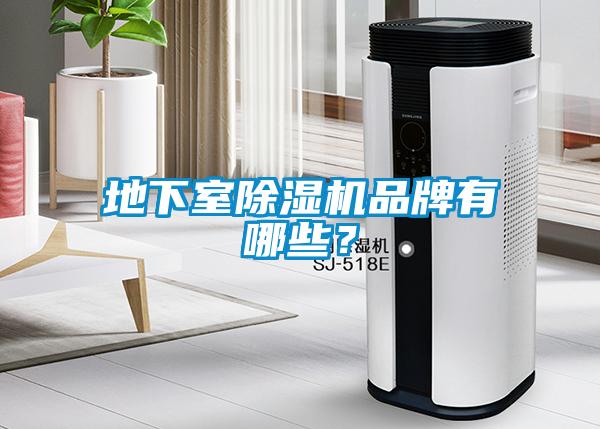 地下室除濕機(jī)品牌有哪些？