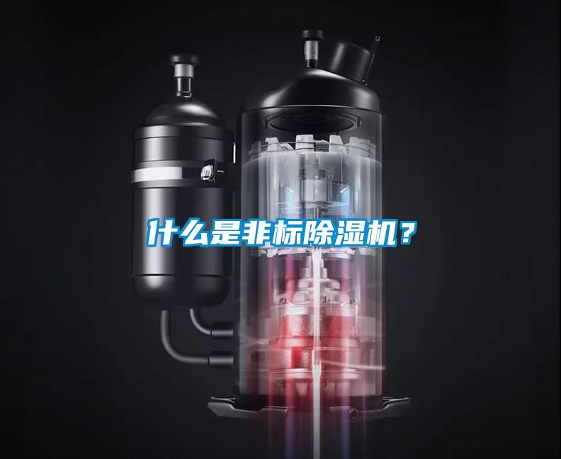 什么是非標(biāo)除濕機(jī)？