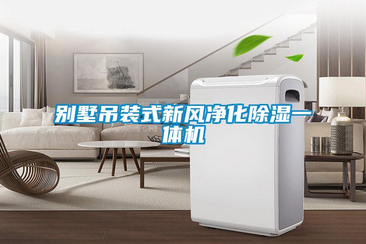 別墅吊裝式新風(fēng)凈化除濕一體機(jī)