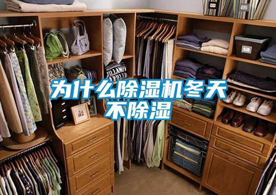 為什么除濕機(jī)冬天不除濕