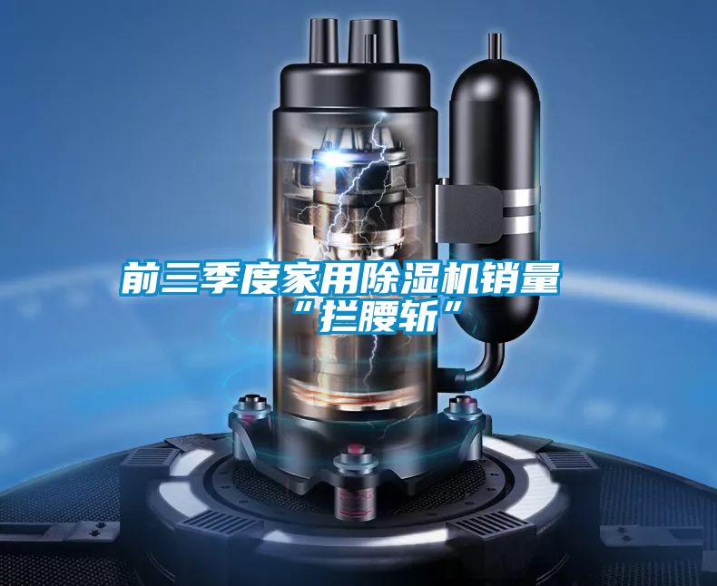 前三季度家用除濕機(jī)銷(xiāo)量“攔腰斬”