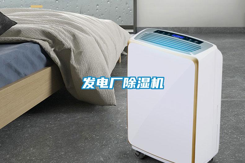 發(fā)電廠(chǎng)除濕機(jī)