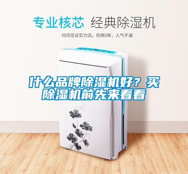 什么品牌除濕機好？買除濕機前先來看看