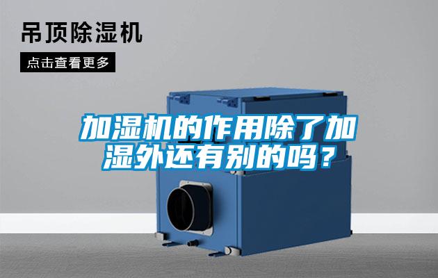 加濕機(jī)的作用除了加濕外還有別的嗎？