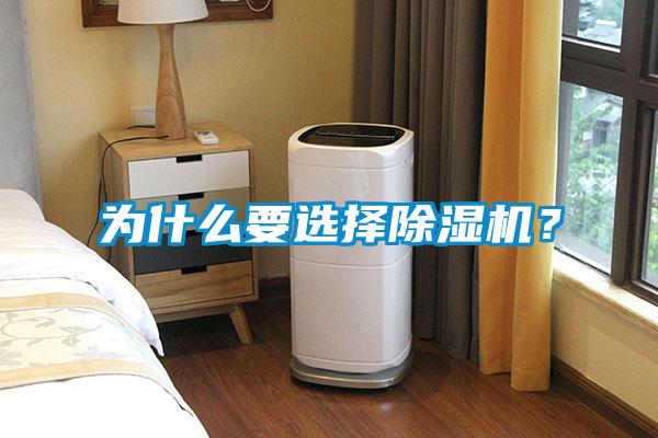 為什么要選擇除濕機？
