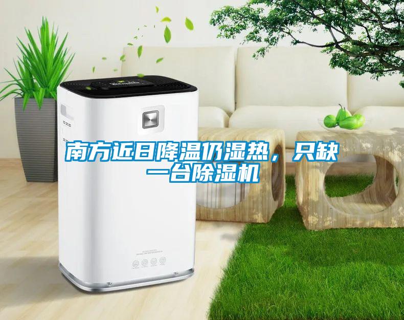 南方近日降溫仍濕熱，只缺一臺除濕機