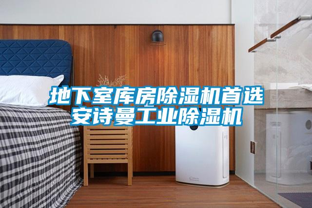 地下室?guī)旆砍凉駲C首選安詩曼工業(yè)除濕機