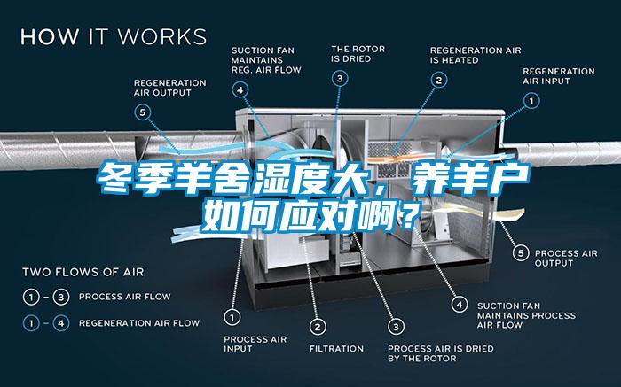 冬季羊舍濕度大，養(yǎng)羊戶如何應(yīng)對(duì)啊？