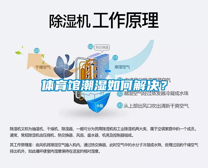 體育館潮濕如何解決？