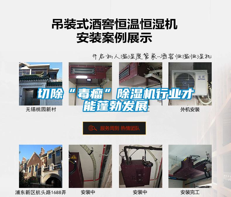 切除“毒瘤”除濕機(jī)行業(yè)才能蓬勃發(fā)展