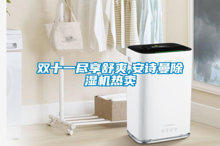 雙十一盡享舒爽,安詩曼除濕機熱賣