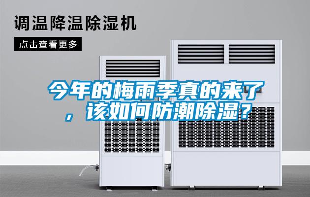 今年的梅雨季真的來了，該如何防潮除濕？
