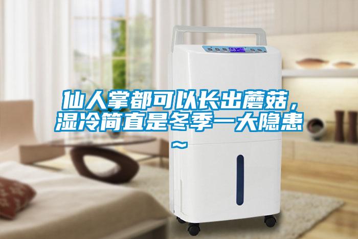 仙人掌都可以長出蘑菇，濕冷簡直是冬季一大隱患~