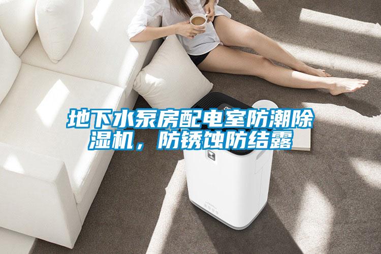 地下水泵房配電室防潮除濕機(jī)，防銹蝕防結(jié)露
