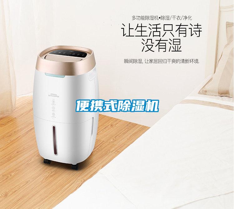 便攜式除濕機(jī)