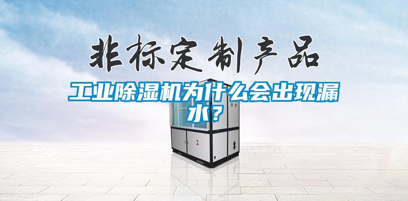 工業(yè)除濕機(jī)為什么會(huì)出現(xiàn)漏水？