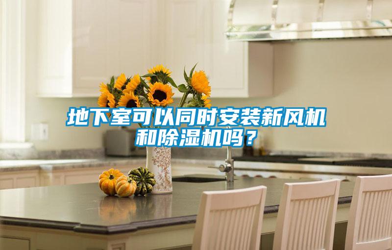 地下室可以同時安裝新風機和除濕機嗎？