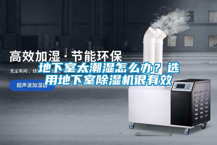 地下室太潮濕怎么辦？選用地下室除濕機很有效