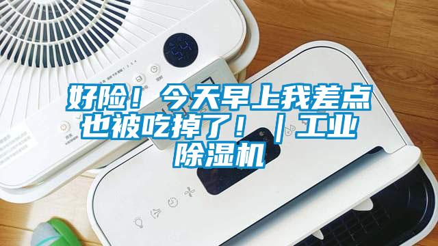 好險！今天早上我差點也被吃掉了?。I(yè)除濕機(jī)