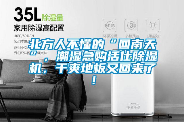 北方人不懂的“回南天”，潮濕急購(gòu)活仕除濕機(jī)，干爽地板又回來(lái)了！