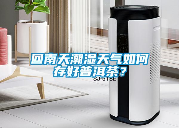 回南天潮濕天氣如何存好普洱茶？