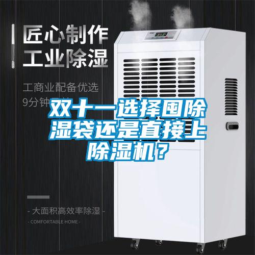 雙十一選擇囤除濕袋還是直接上除濕機？