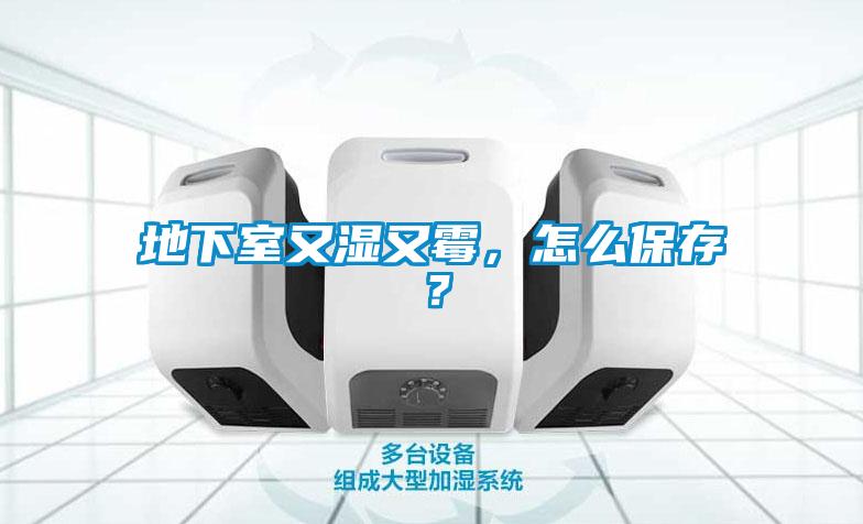 地下室又濕又霉，怎么保存？