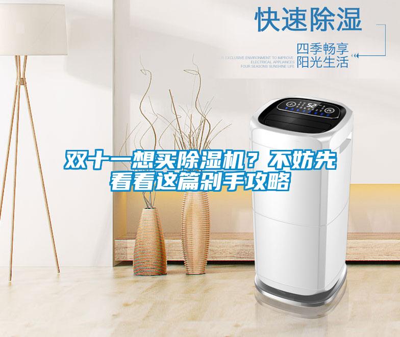 雙十一想買除濕機(jī)？不妨先看看這篇剁手攻略