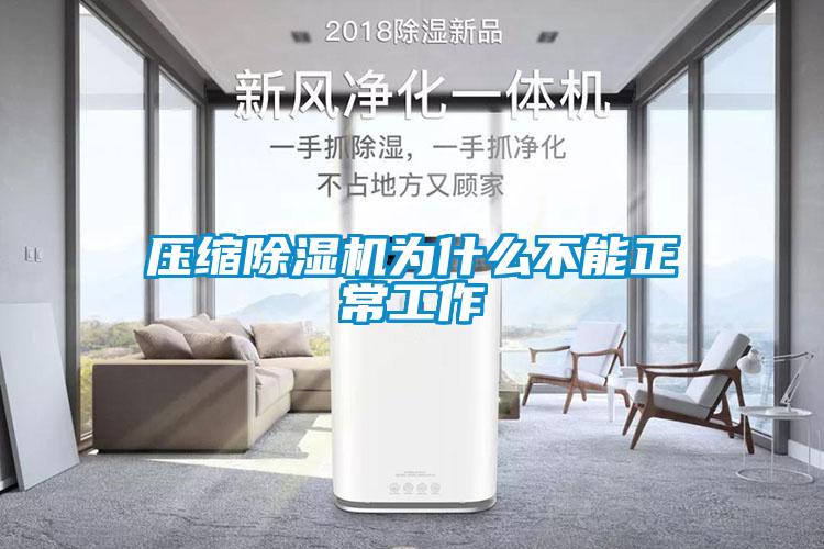 壓縮除濕機為什么不能正常工作