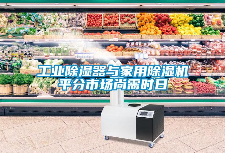 工業(yè)除濕器與家用除濕機(jī)平分市場尚需時日