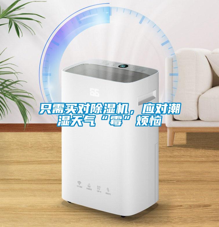 只需買對除濕機(jī)，應(yīng)對潮濕天氣“霉”煩惱