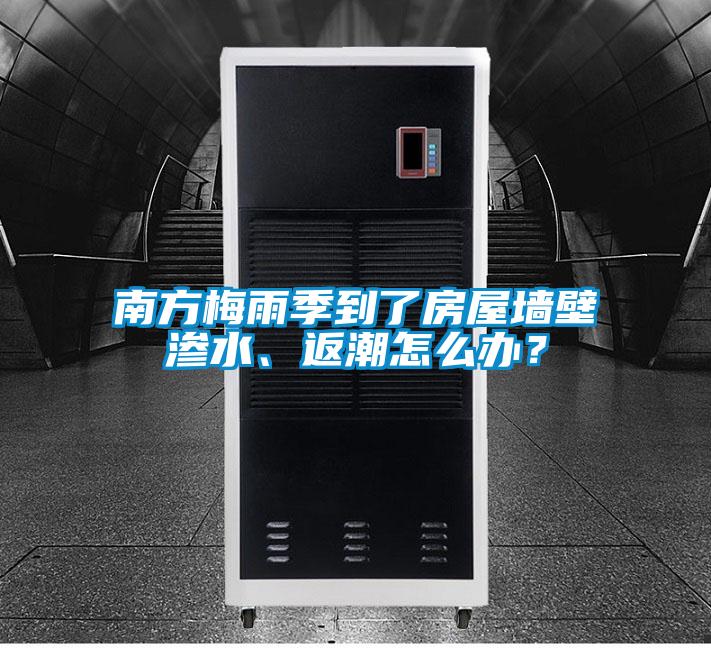 南方梅雨季到了房屋墻壁滲水、返潮怎么辦？