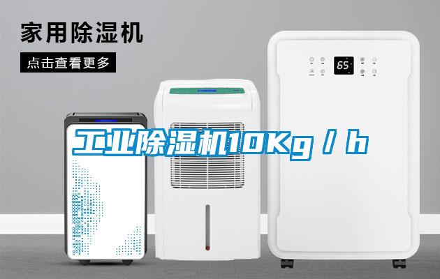 工業(yè)除濕機(jī)10Kg／h