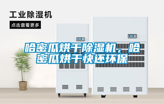 哈密瓜烘干除濕機(jī)，哈密瓜烘干快還環(huán)保