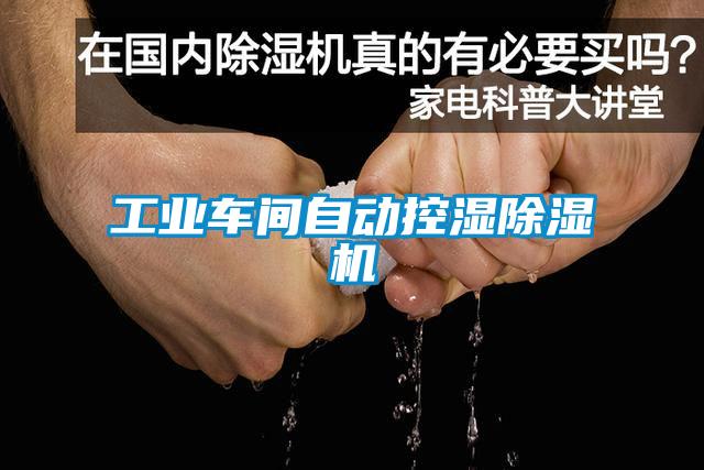 工業(yè)車(chē)間自動(dòng)控濕除濕機(jī)