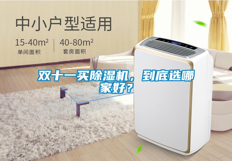 雙十一買除濕機(jī)，到底選哪家好？